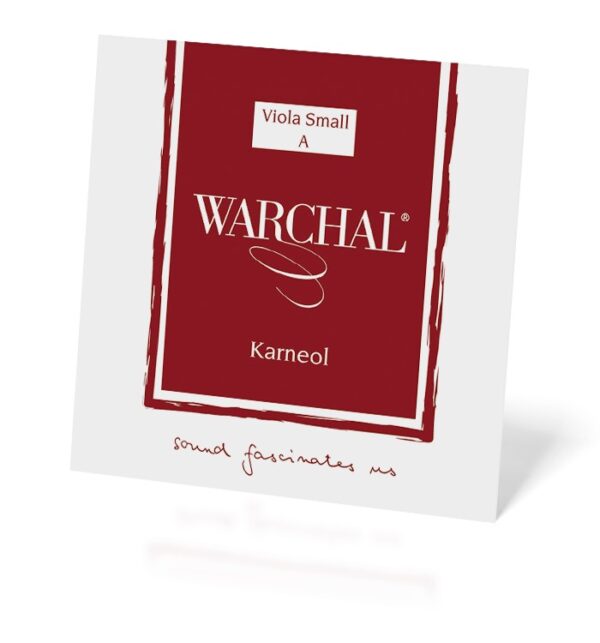 detailRetina (1) detailRetina (1)